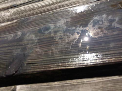 51623703_2154245421553334_7299777766910590976_n